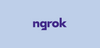 How to Install and Use Ngrok on Windows